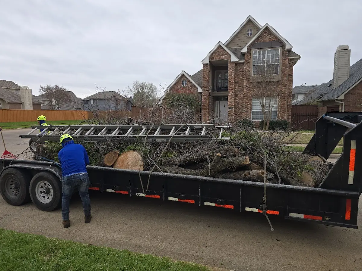Expert Lot Clearing with proper safety equipment in Jackson Center